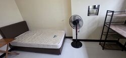 Fernvale Street (Sengkang),  #566401581